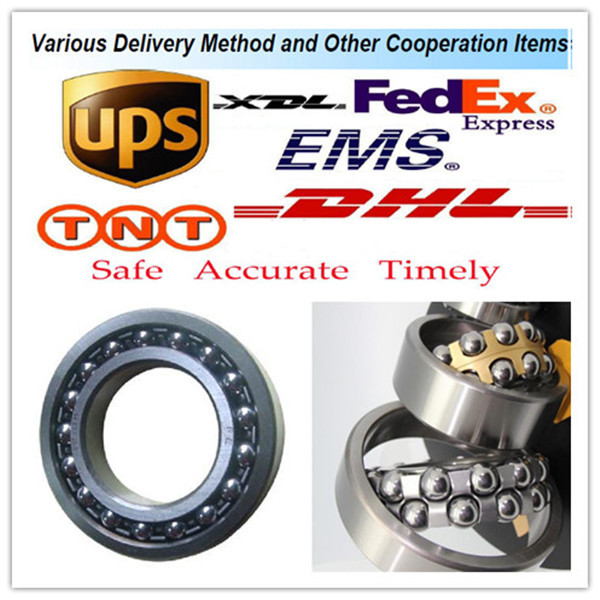 2311K+H2311 ISO Self-Aligning Ball Bearings 10 Solutions