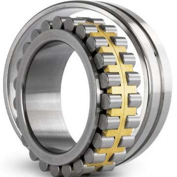 NF19/530 CX Cylindrical Roller Bearing Original
