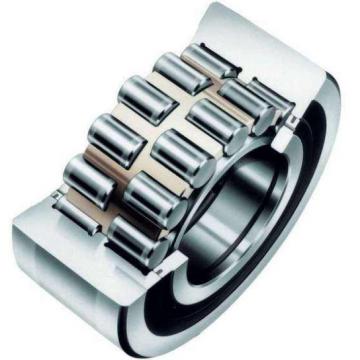 NF19/750 ISO Cylindrical Roller Bearing Original