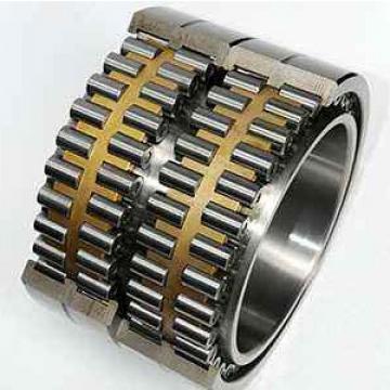 NF18/500 ISO Cylindrical Roller Bearing Original