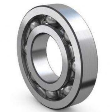  6319 M/C4  2018 Single Row Ball Bearings