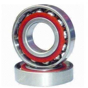  61813  2018 Single Row Ball Bearings