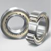 NF205 ISO Cylindrical Roller Bearing Original