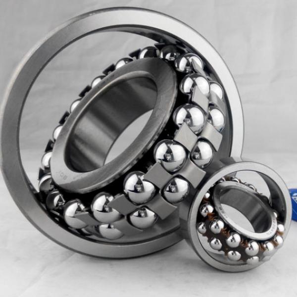2311 NKE Self-Aligning Ball Bearings 10 Solutions #4 image