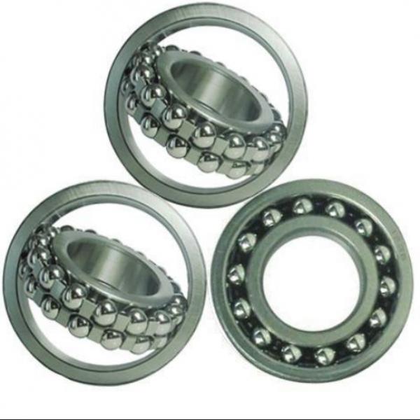 S1205-2RS ZEN Self-Aligning Ball Bearings 10 Solutions #5 image
