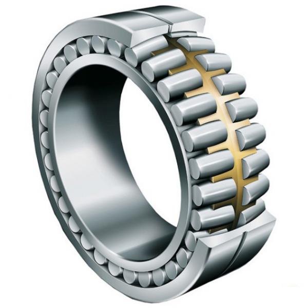 NF10/500 ISO Cylindrical Roller Bearing Original #1 image