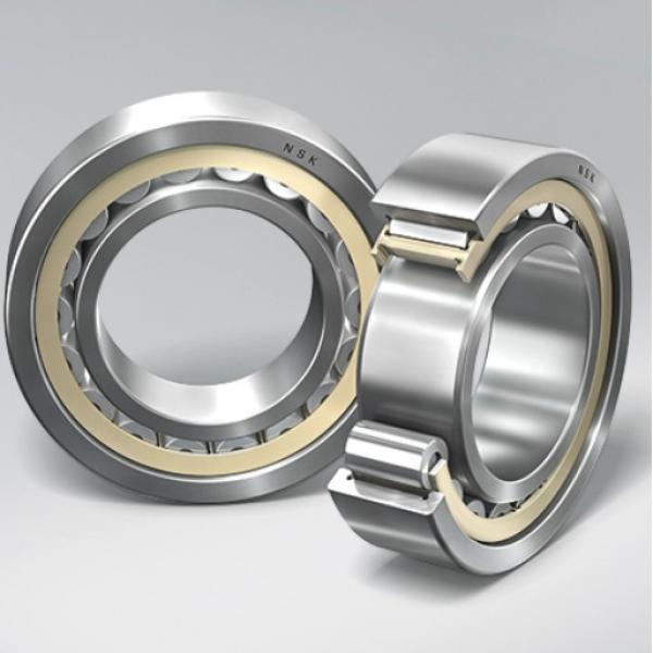 NF18/1600 CX Cylindrical Roller Bearing Original #1 image