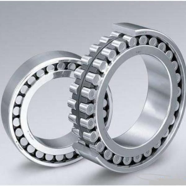 NF10/500 CX Cylindrical Roller Bearing Original #2 image