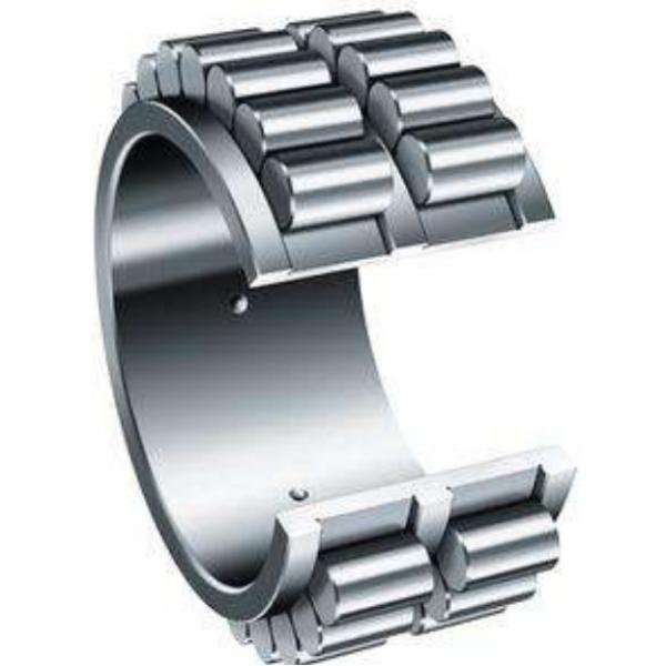 NF10/500 CX Cylindrical Roller Bearing Original #1 image