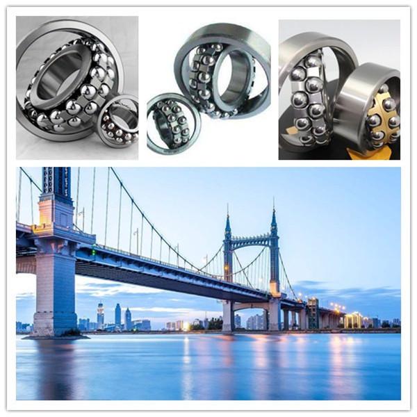 S1204-2RS ZEN Self-Aligning Ball Bearings 10 Solutions #1 image